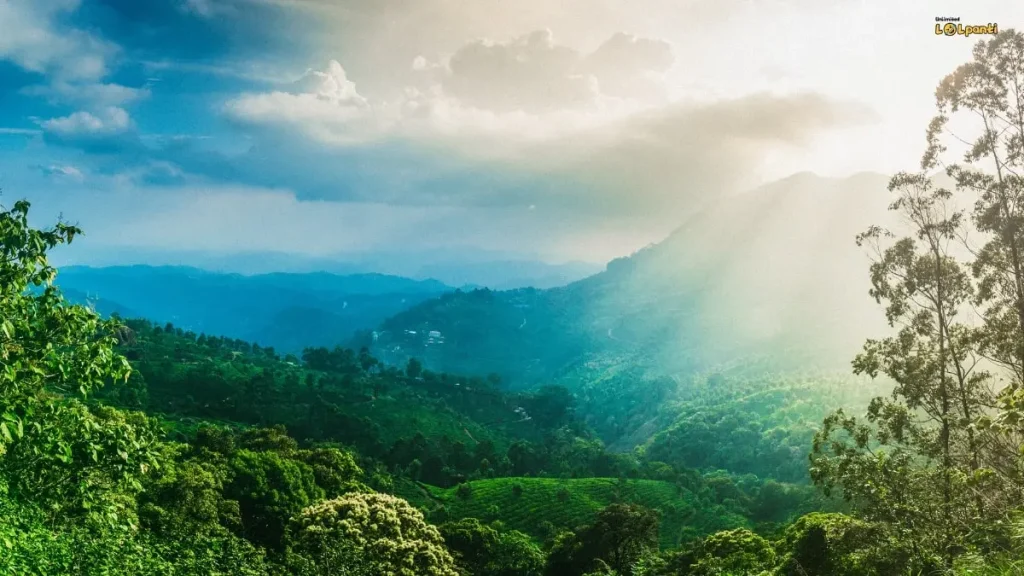 munnar 