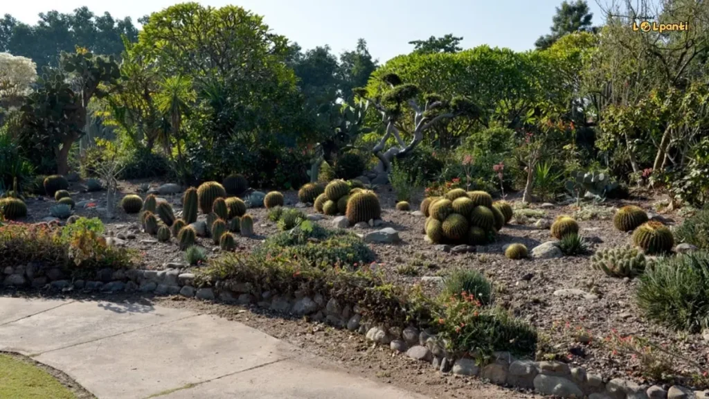 cactus garden Tourist Places in Panchkula Haryana