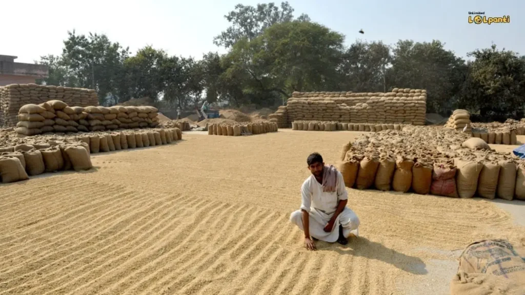 chhachhrauli in yamuna nagar