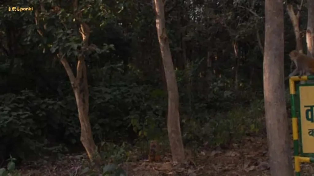 Kalesar National Park Tourist Places In Yamuna Nagar