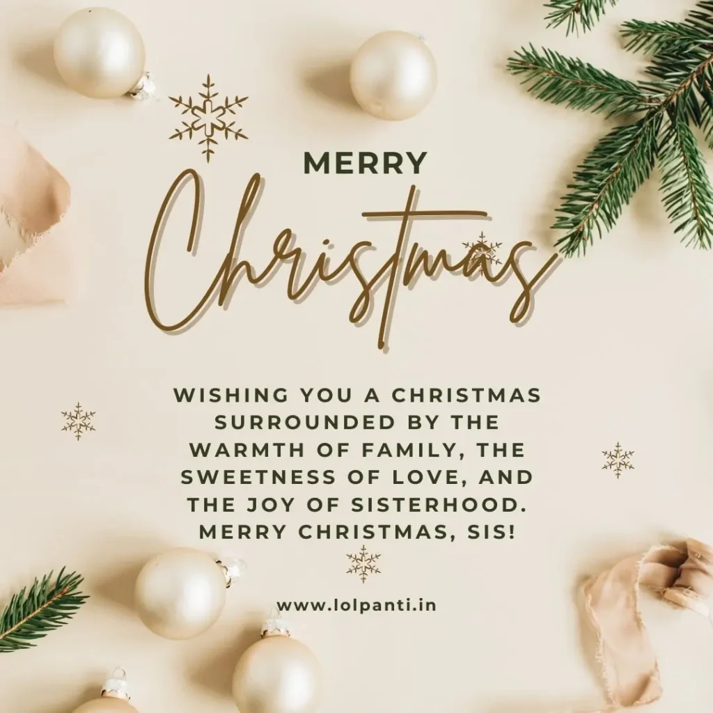 merry christmas sister funny