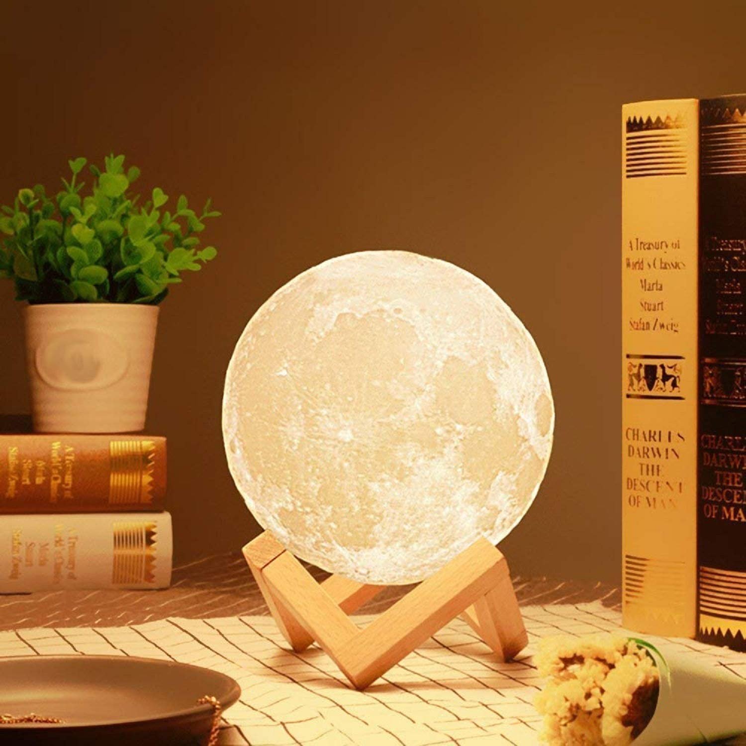 moon light lamp